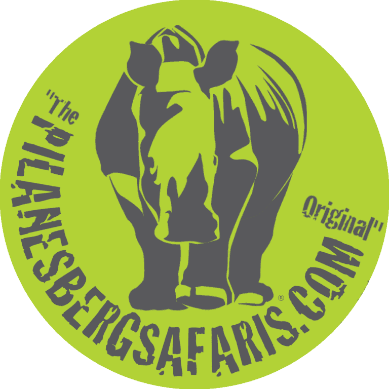 Pilanesberg Safaris and Tours